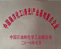 中國海洋化工壽光產業基地重點企業